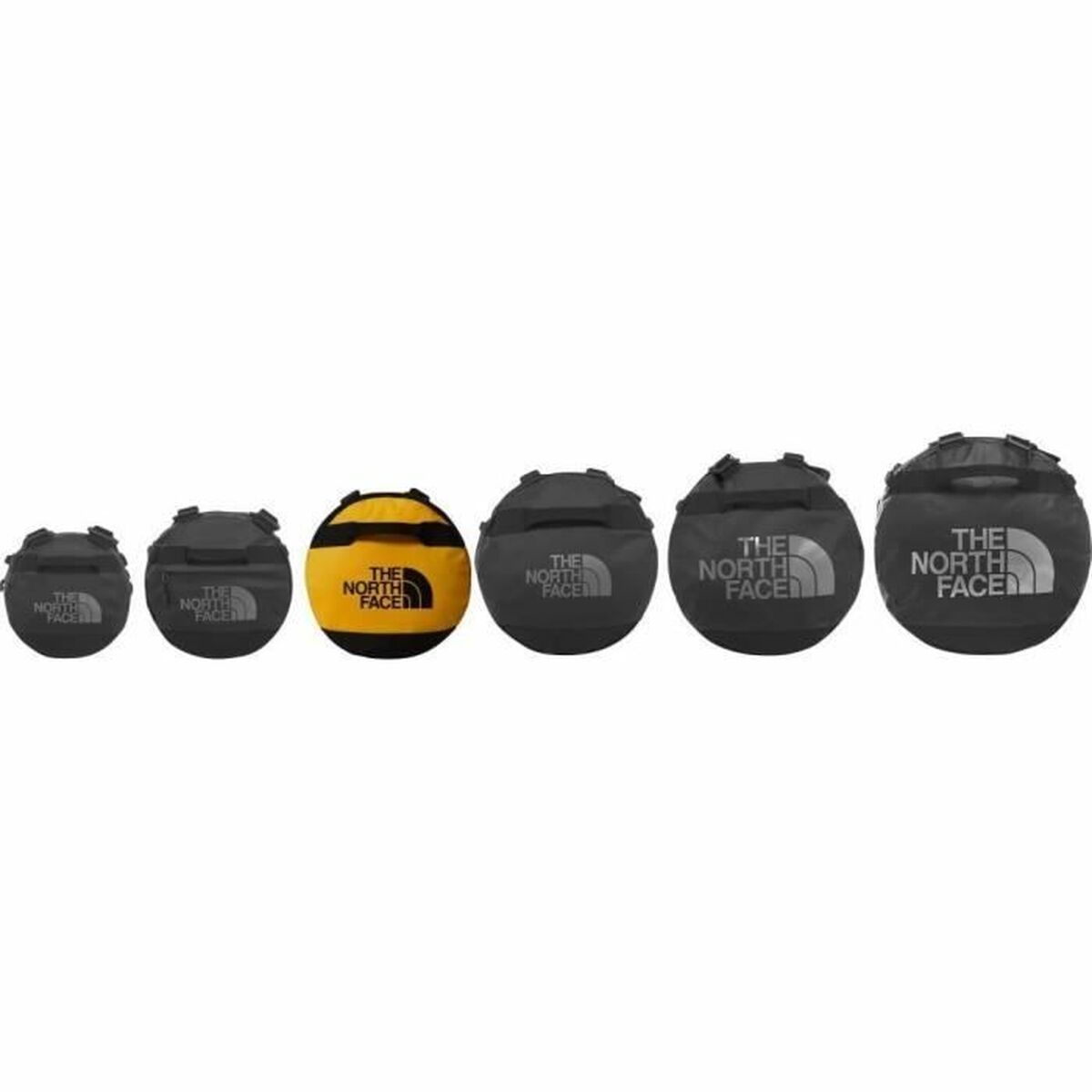 V5H49C55621EB1A6B310CD068F76E2022ADR5560728P4