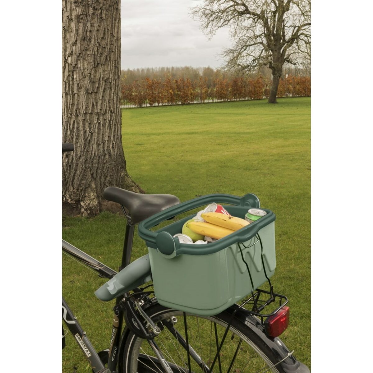 Bärbar kyl Curver 261196 Grön 10 L Plast (Plast) (1 Delar) - finns hos Aktivcamping