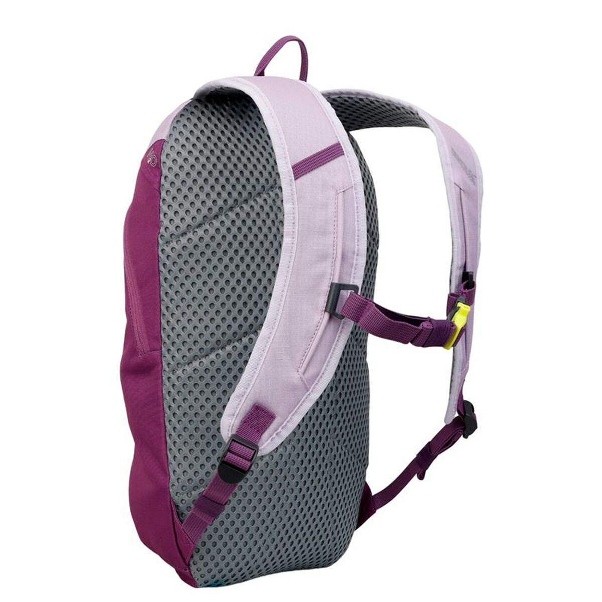 Vandringsryggsäck Regatta Highton V2 Violett Polyester finns hos Aktivcamping