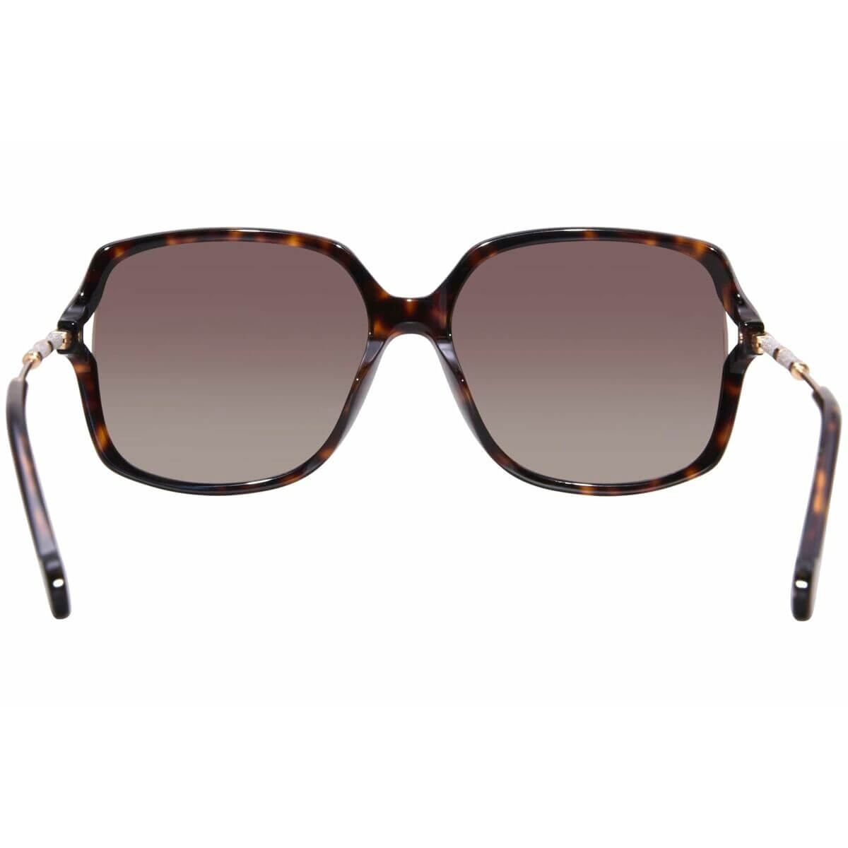 Damsolglasögon Carolina Herrera HER0132GS086 ø 58 mm finns hos Aktivcamping