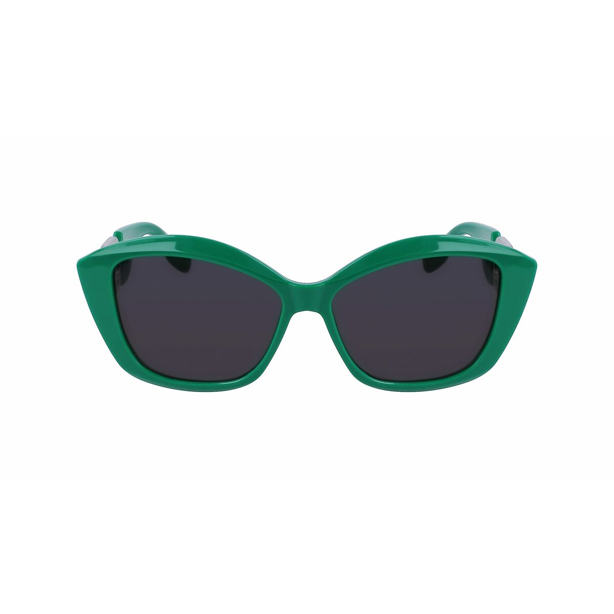 Damsolglasögon Karl Lagerfeld KL6102S-300 ø 56 mm finns hos Aktivcamping