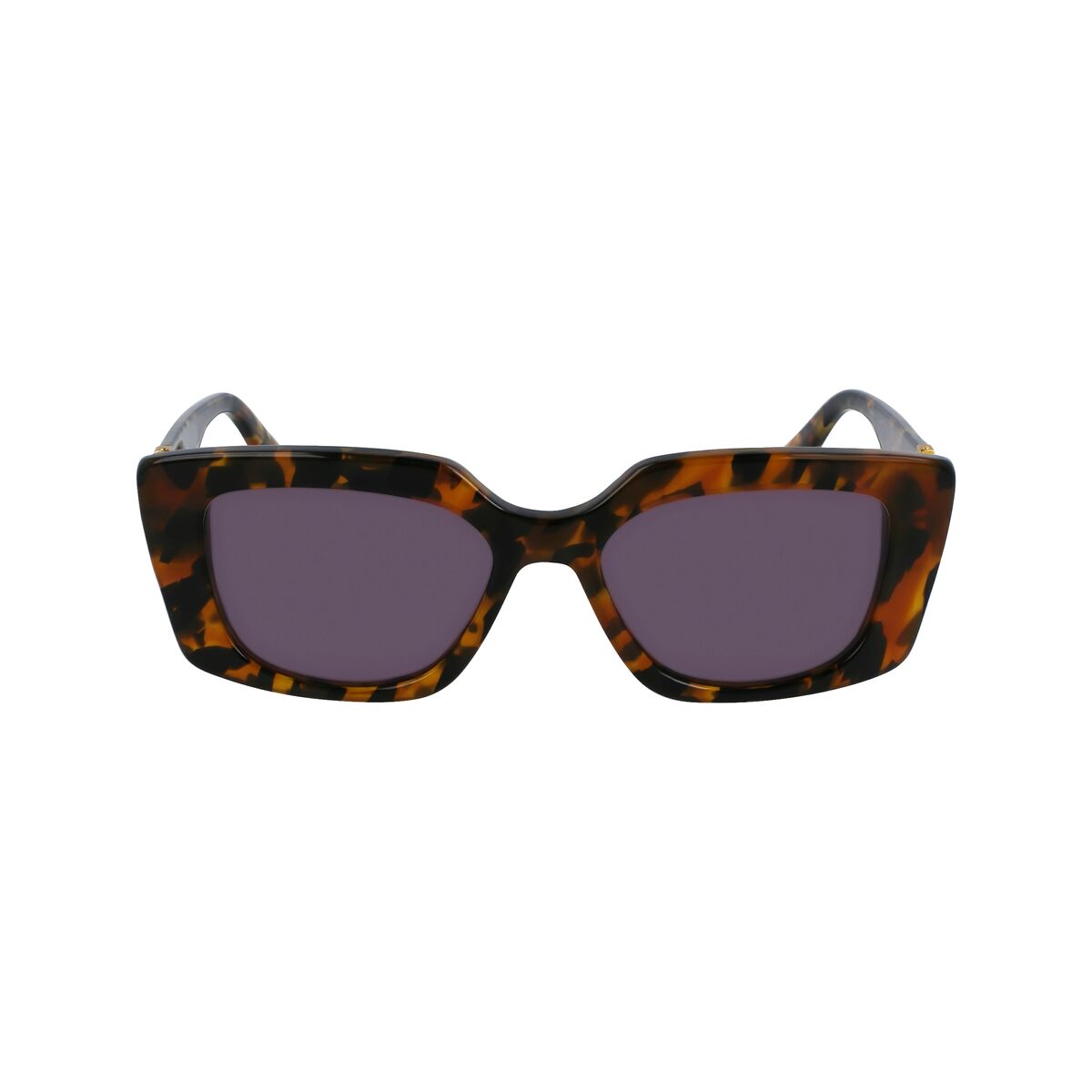 Damsolglasögon Karl Lagerfeld KL6125S-234 Ø 52 mm finns hos Aktivcamping