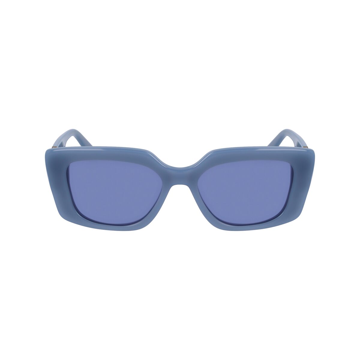 Damsolglasögon Karl Lagerfeld KL6125S-450 Ø 52 mm finns hos Aktivcamping
