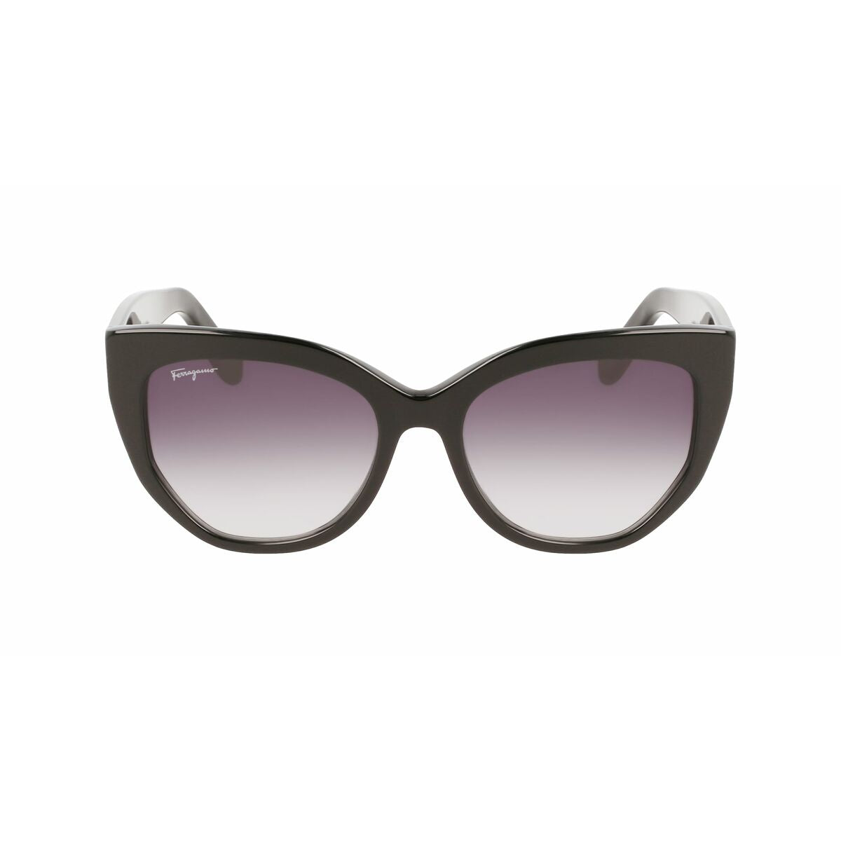 Damsolglasögon Salvatore Ferragamo SF1061S-001 ø 56 mm finns hos Aktivcamping
