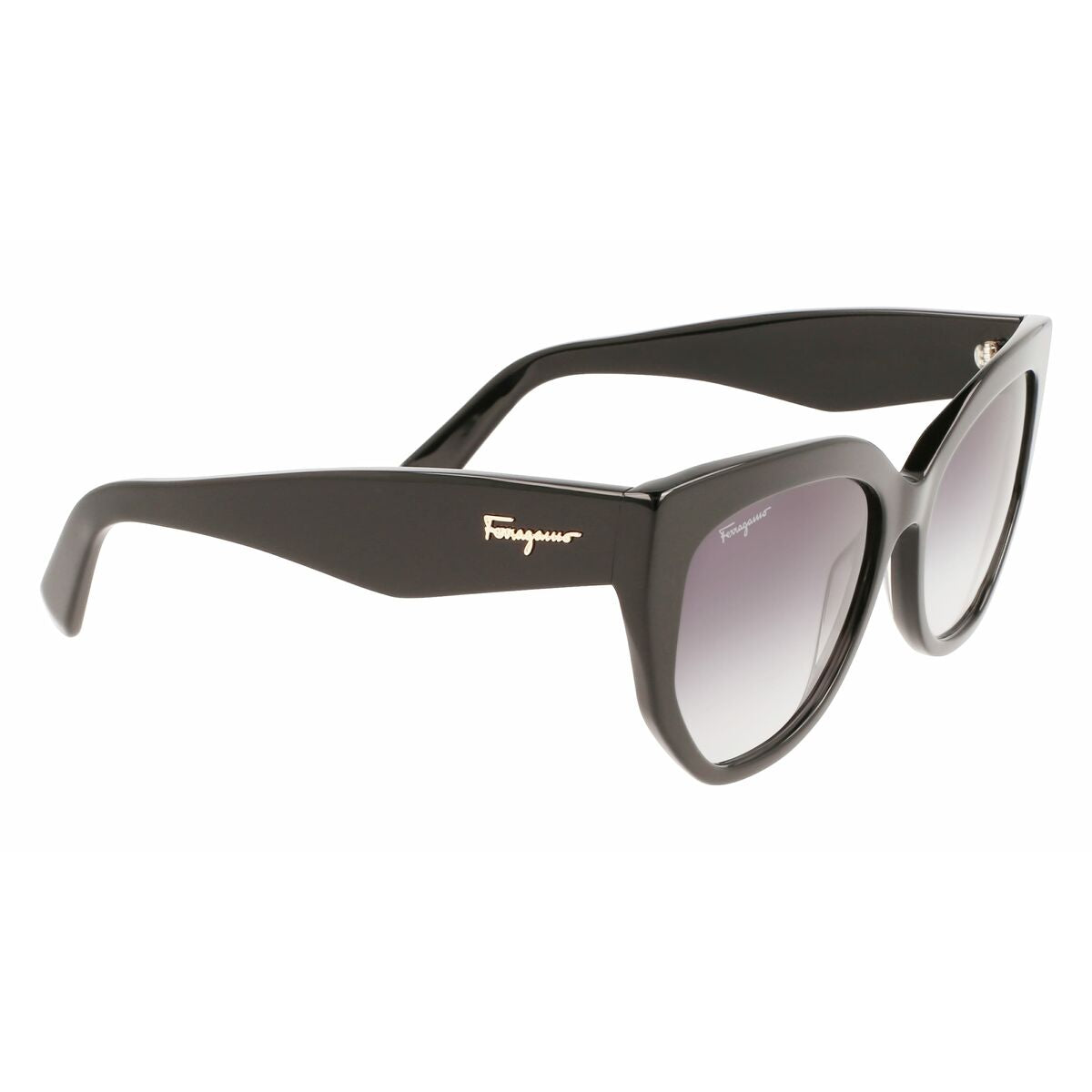 Damsolglasögon Salvatore Ferragamo SF1061S-001 ø 56 mm finns hos Aktivcamping