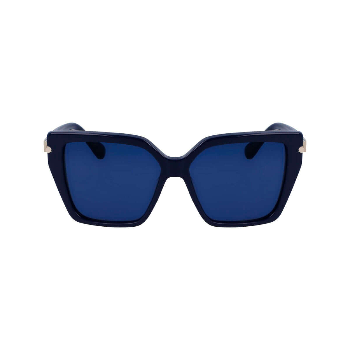 Damsolglasögon Salvatore Ferragamo SF1106S-414 ø 57 mm finns hos Aktivcamping