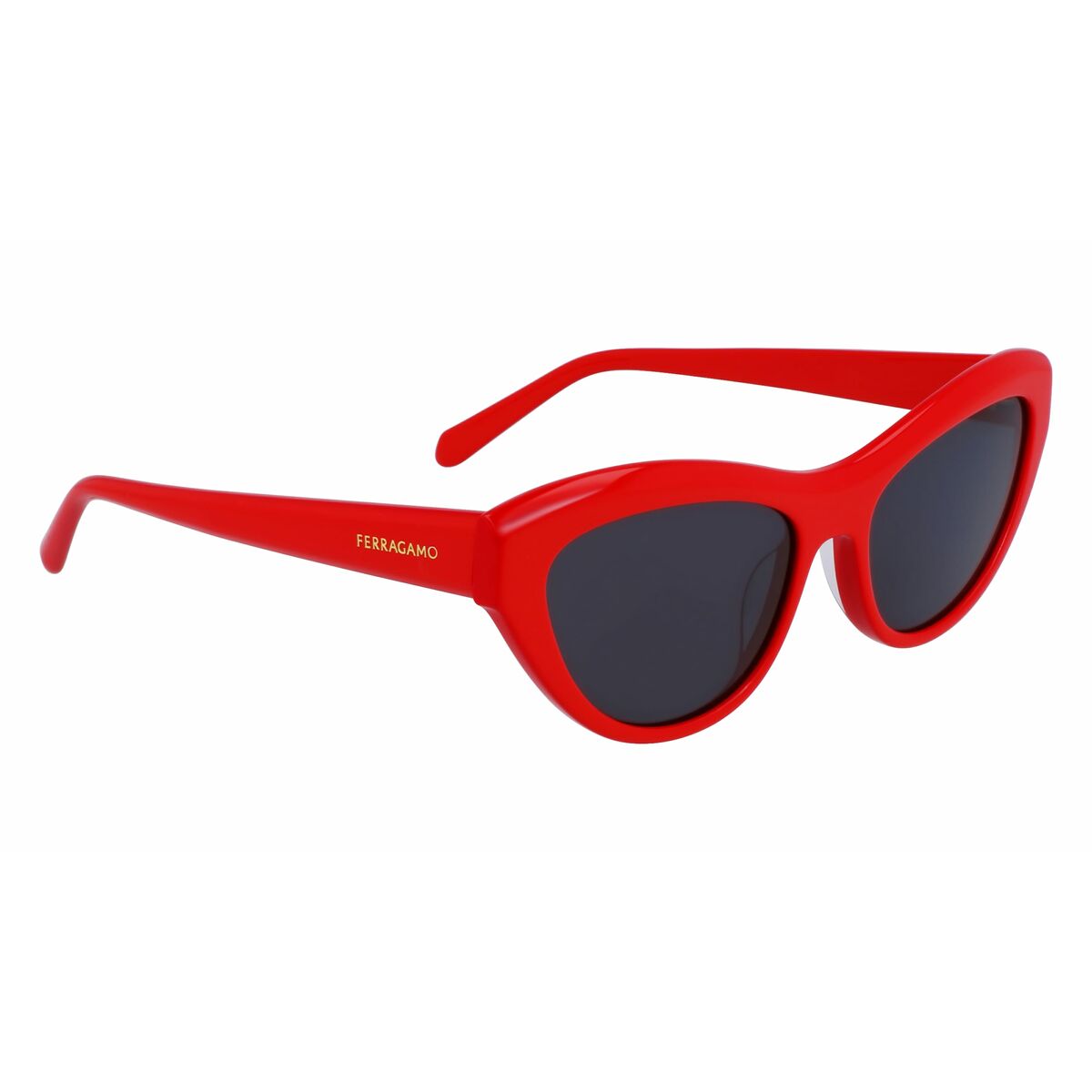 Damsolglasögon Salvatore Ferragamo SF1103S551760 Ø 55 mm finns hos Aktivcamping