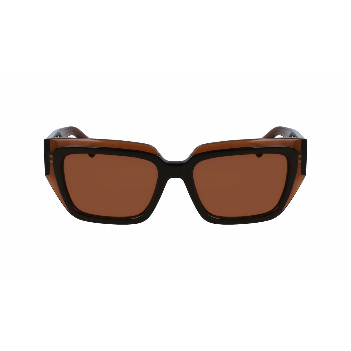 Damsolglasögon Salvatore Ferragamo SF2002S-233 Ø 55 mm - finns hos Aktivcamping
