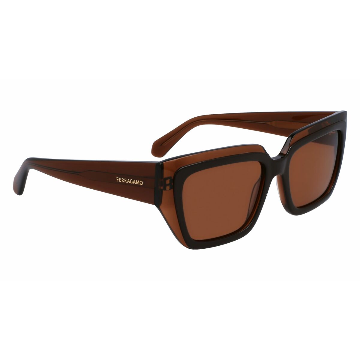 Damsolglasögon Salvatore Ferragamo SF2002S-233 Ø 55 mm - finns hos Aktivcamping