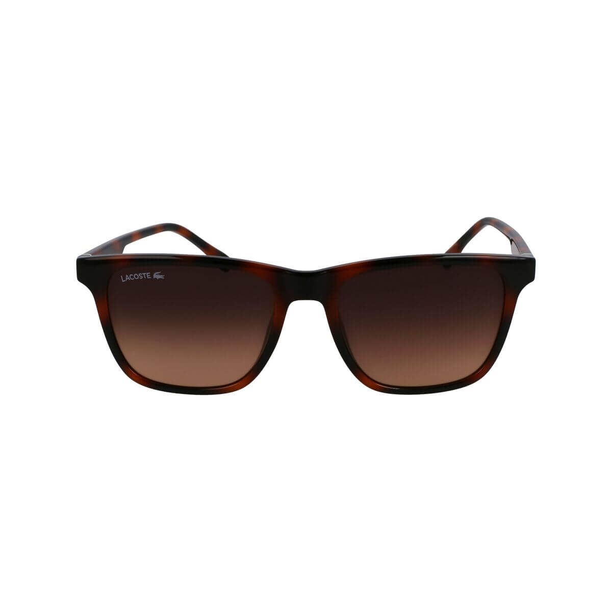 Herrsolglasögon Lacoste L6041S-214 ø 54 mm - finns hos Aktivcamping