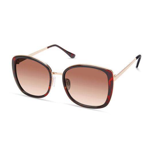 Damsolglasögon Kenneth Cole KC1396-5452F ø 54 mm finns hos Aktivcamping