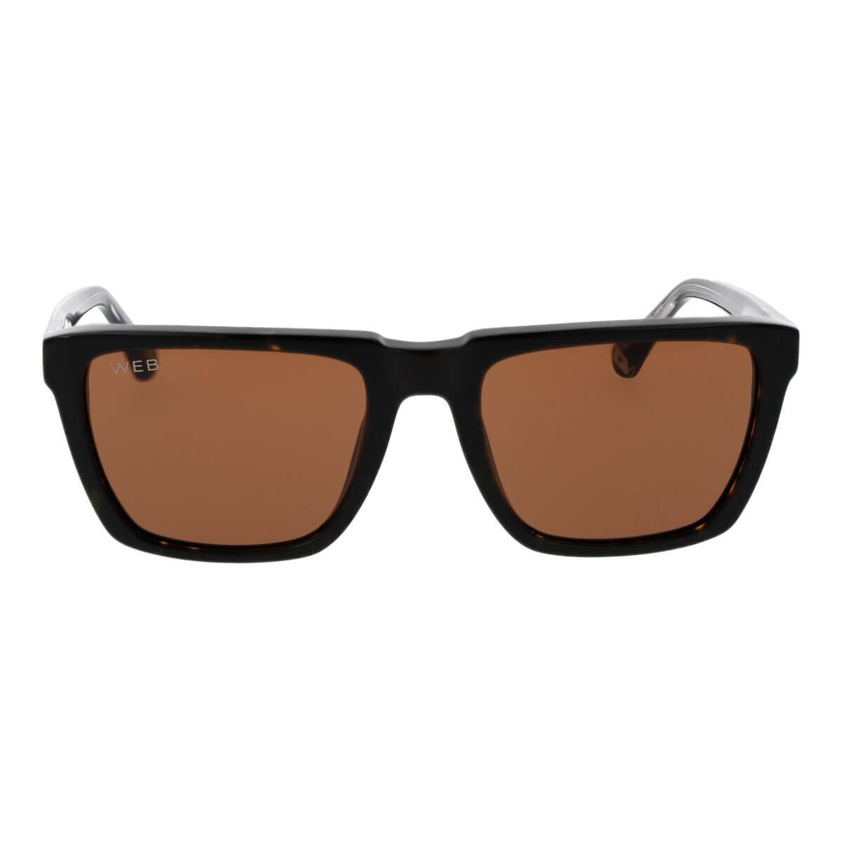 Herrsolglasögon Web Eyewear WE0379 5556E finns hos Aktivcamping