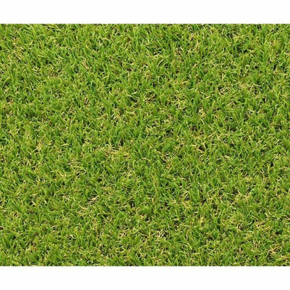 Artificial grass Exelgreen Campus 2D 1 x 5 m 25 mm