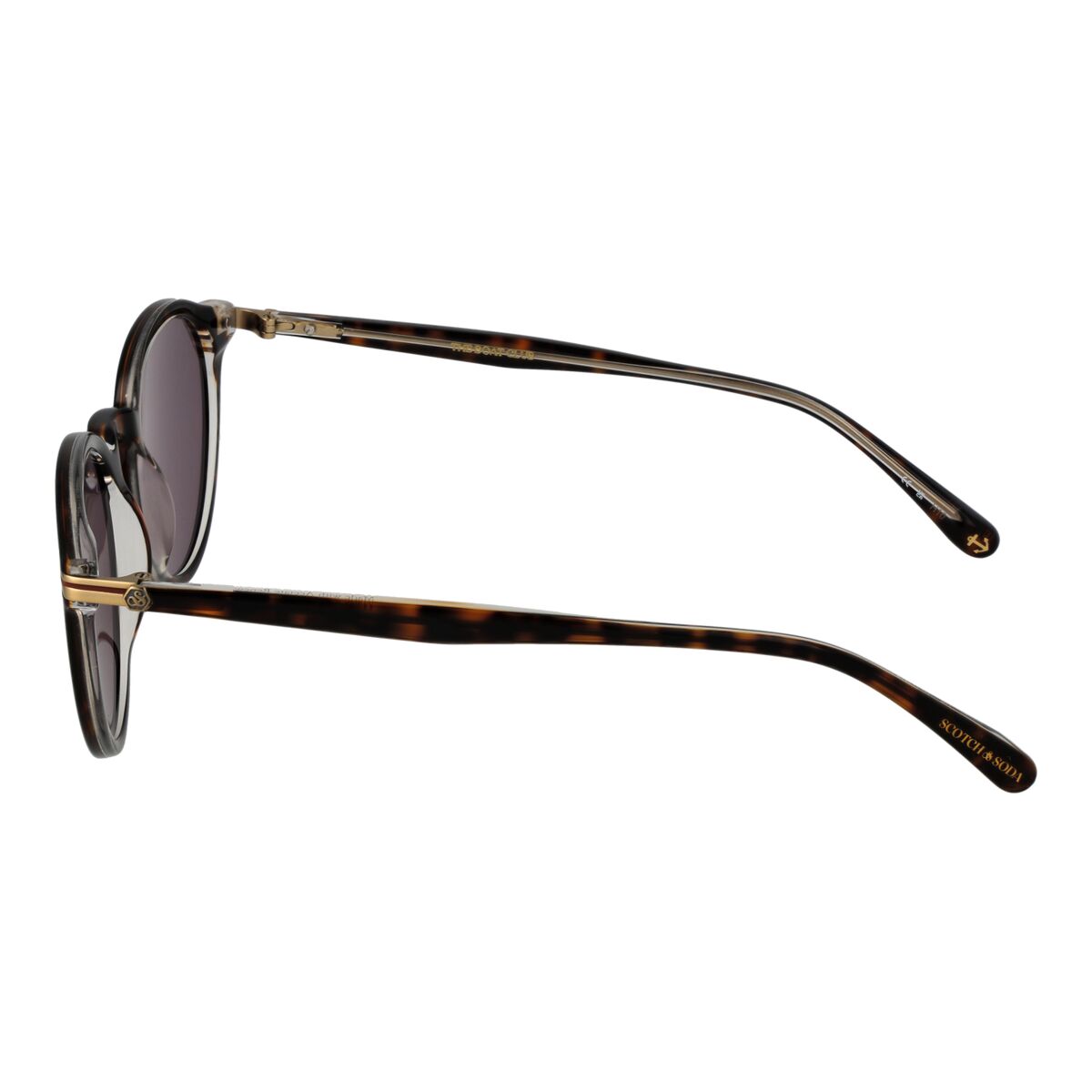 Herrsolglasögon Scotch & Soda SS8023 51102 finns hos Aktivcamping