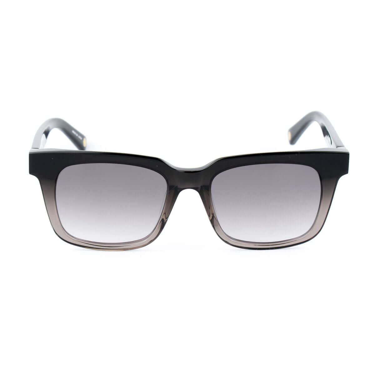 Damsolglasögon Belstaff TRIUMPH-S099 Ø 52 mm finns hos Aktivcamping