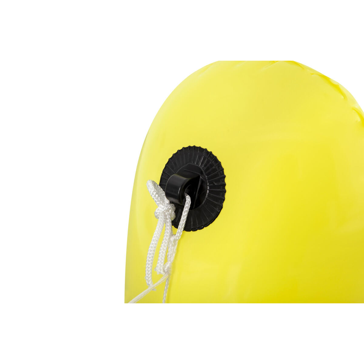 V1H97D94C892FD4E6365D59299EBC367069RP6