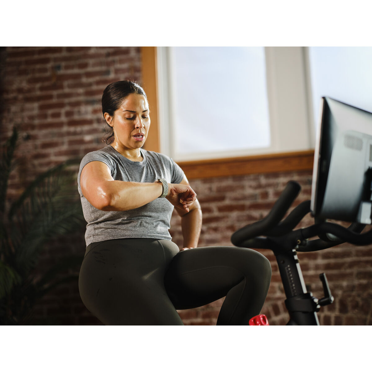 V1H157C59CCF083CB8185E71DA9FB902759RP6