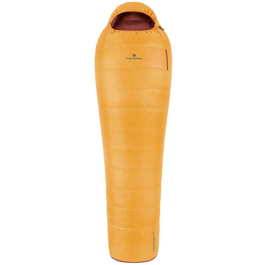 V2H1CEFB1DF7109E21B14A2D4CEB8A6B399R7669018P1