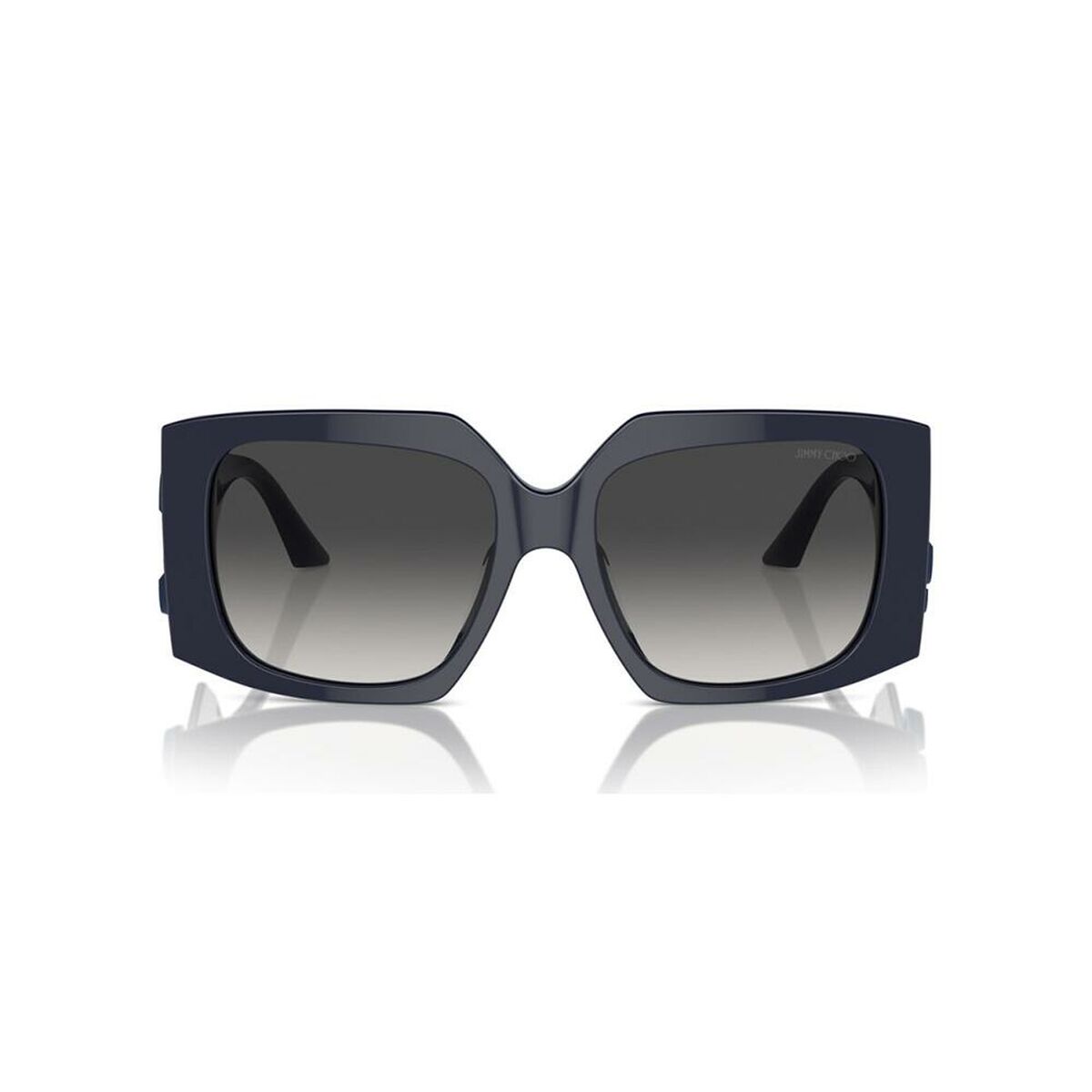 Damsolglasögon Jimmy Choo JC 5006U finns hos Aktivcamping