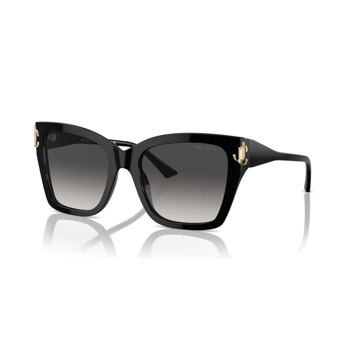 Damsolglasögon Jimmy Choo JC 5012 - finns hos Aktivcamping