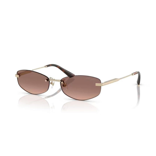 Damsolglasögon Jimmy Choo JC 4013D finns hos Aktivcamping