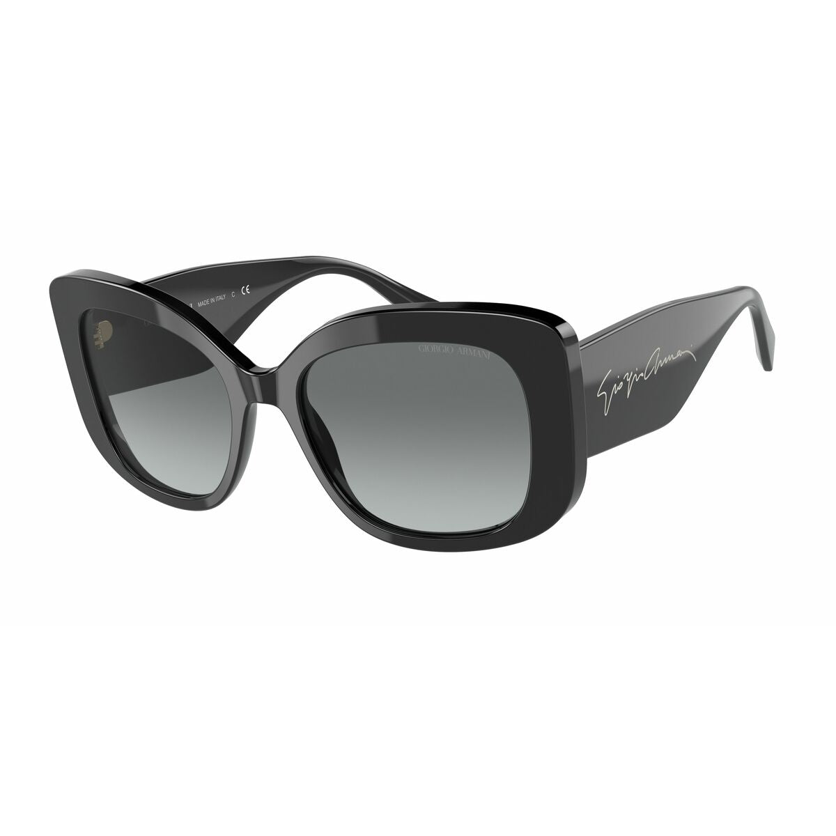 Herrsolglasögon Armani AR8150-500111 Ø 53 mm finns hos Aktivcamping
