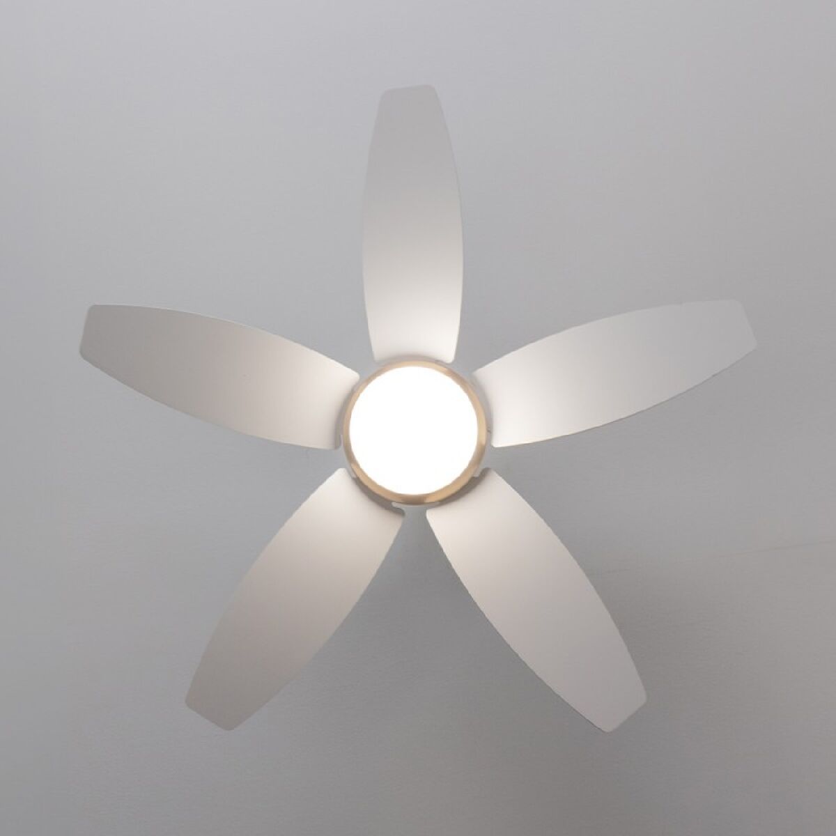Takfläkt med belysning Cecotec EnergySilence Aero 4200 Brun Gyllene 15 W 53 W finns hos Aktivcamping