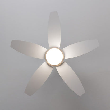 Takfläkt med belysning Cecotec EnergySilence Aero 4200 Brun Gyllene 15 W 53 W finns hos Aktivcamping