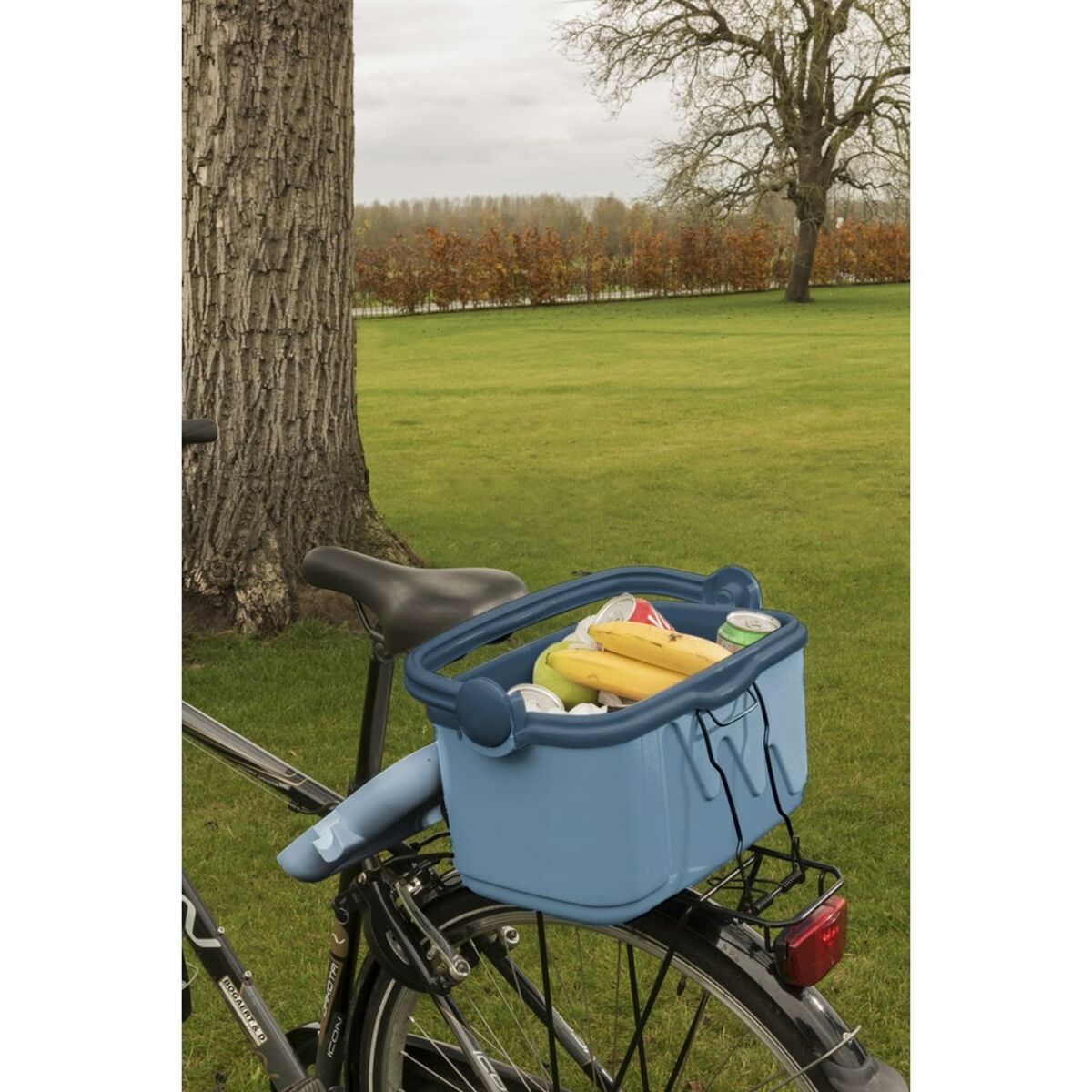 Bärbar kyl Curver 261193 Blå 10 L Plast (Plast) (1 Delar) finns hos Aktivcamping