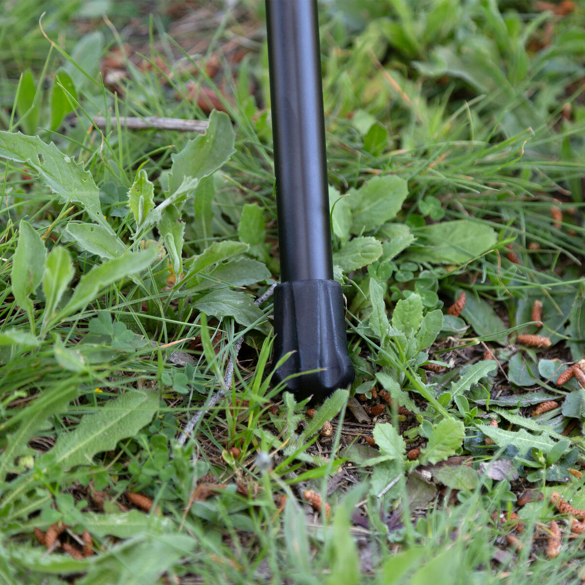 V2H5DBF91EBA6A6105B1695FDC17EEF43ADR7379412P7