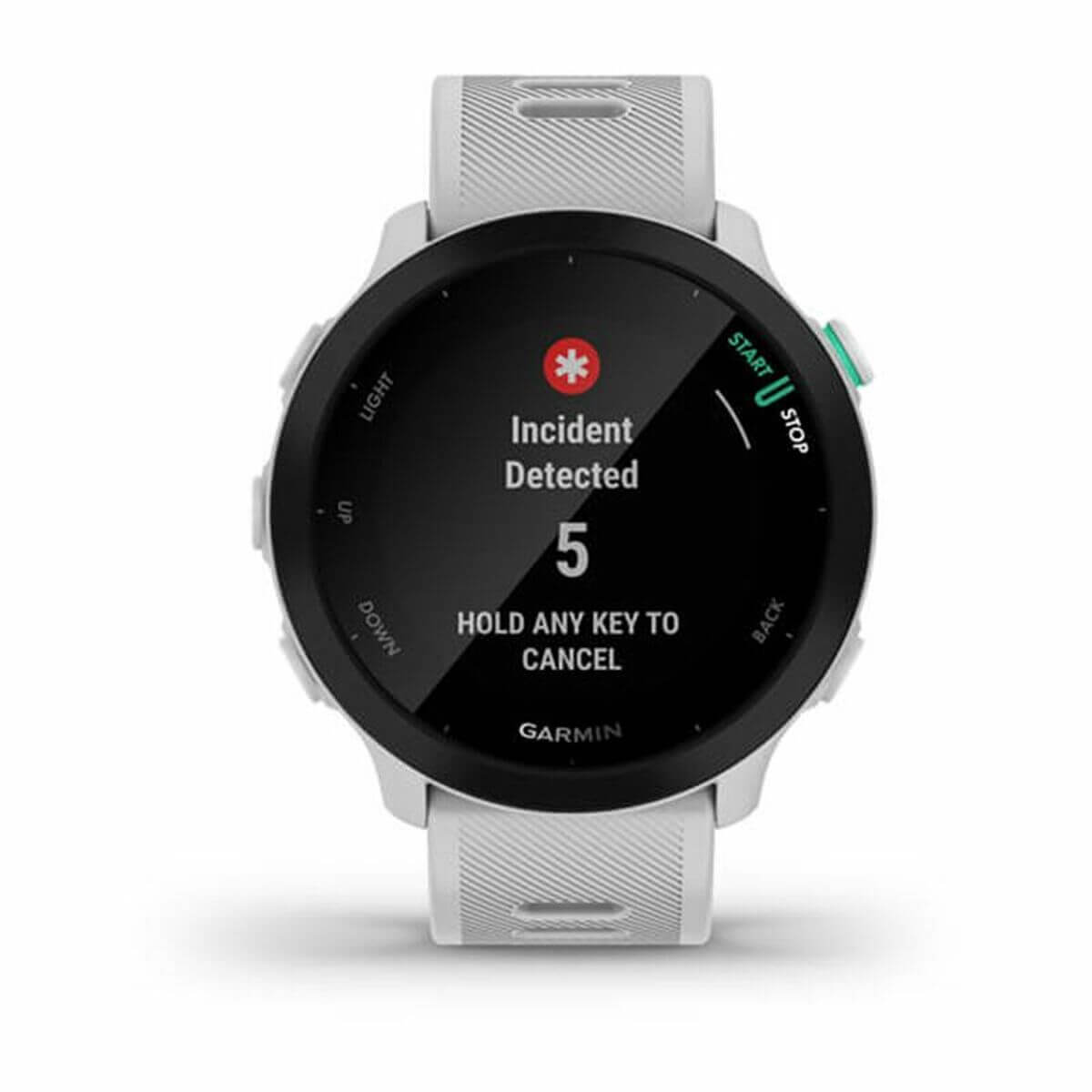 Smartklocka GARMIN Forerunner 55 Vit 1,04" finns hos Aktivcamping