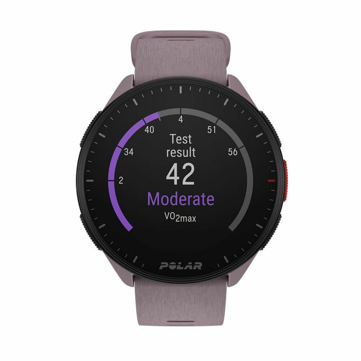 Smartwatch med stegräknare Running Polar Purpur 1,2" finns hos Aktivcamping