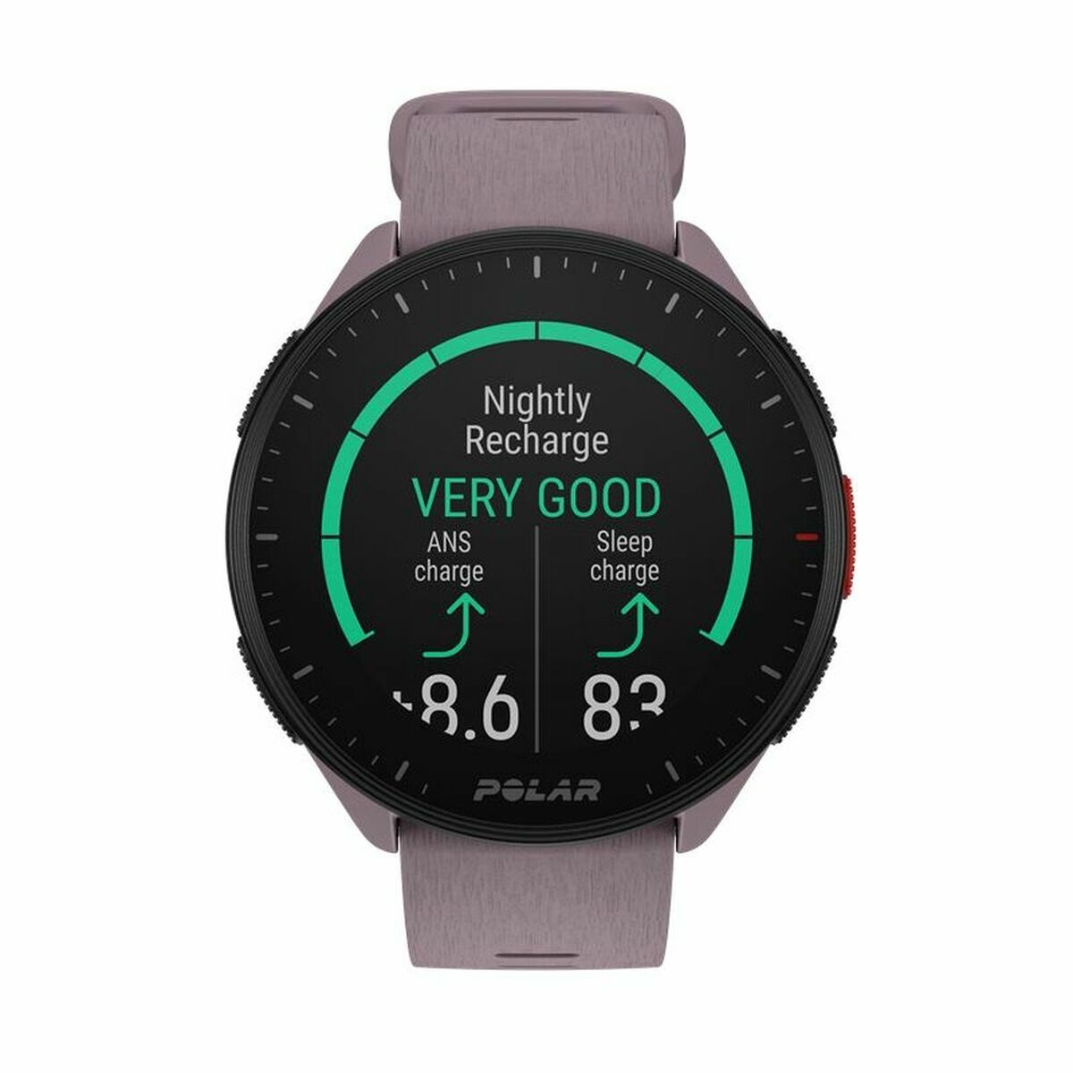 Smartwatch med stegräknare Running Polar Purpur 1,2" finns hos Aktivcamping
