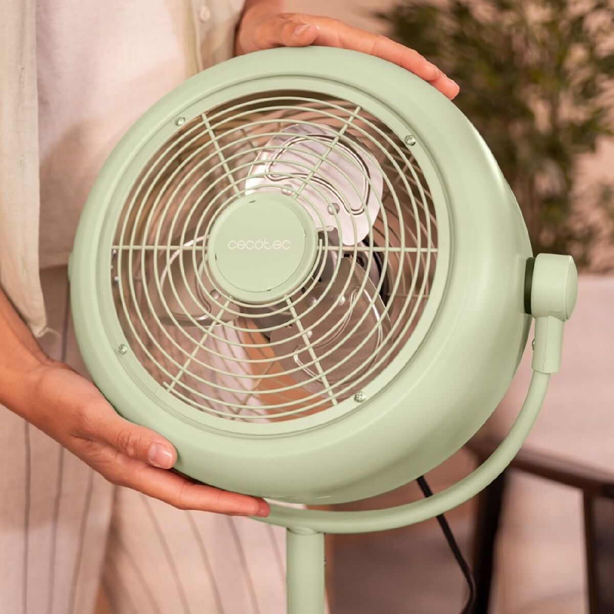 Stående Fläkt Cecotec EnergySilence 250 ClassicStyle Grön 25 W - finns hos Aktivcamping