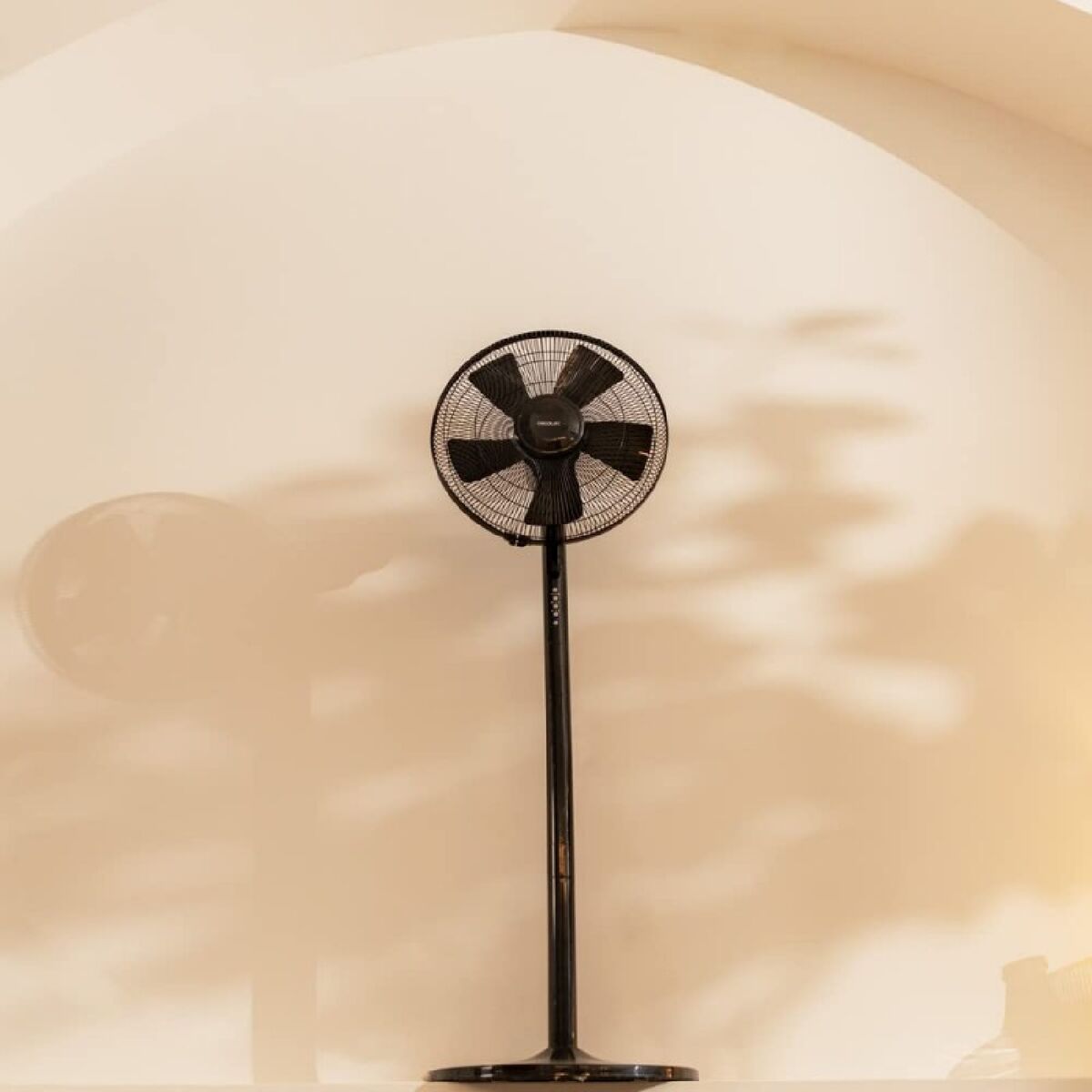 Stående Fläkt Cecotec EnergySilence 555 2in1 Smart XL Svart 55 W finns hos Aktivcamping