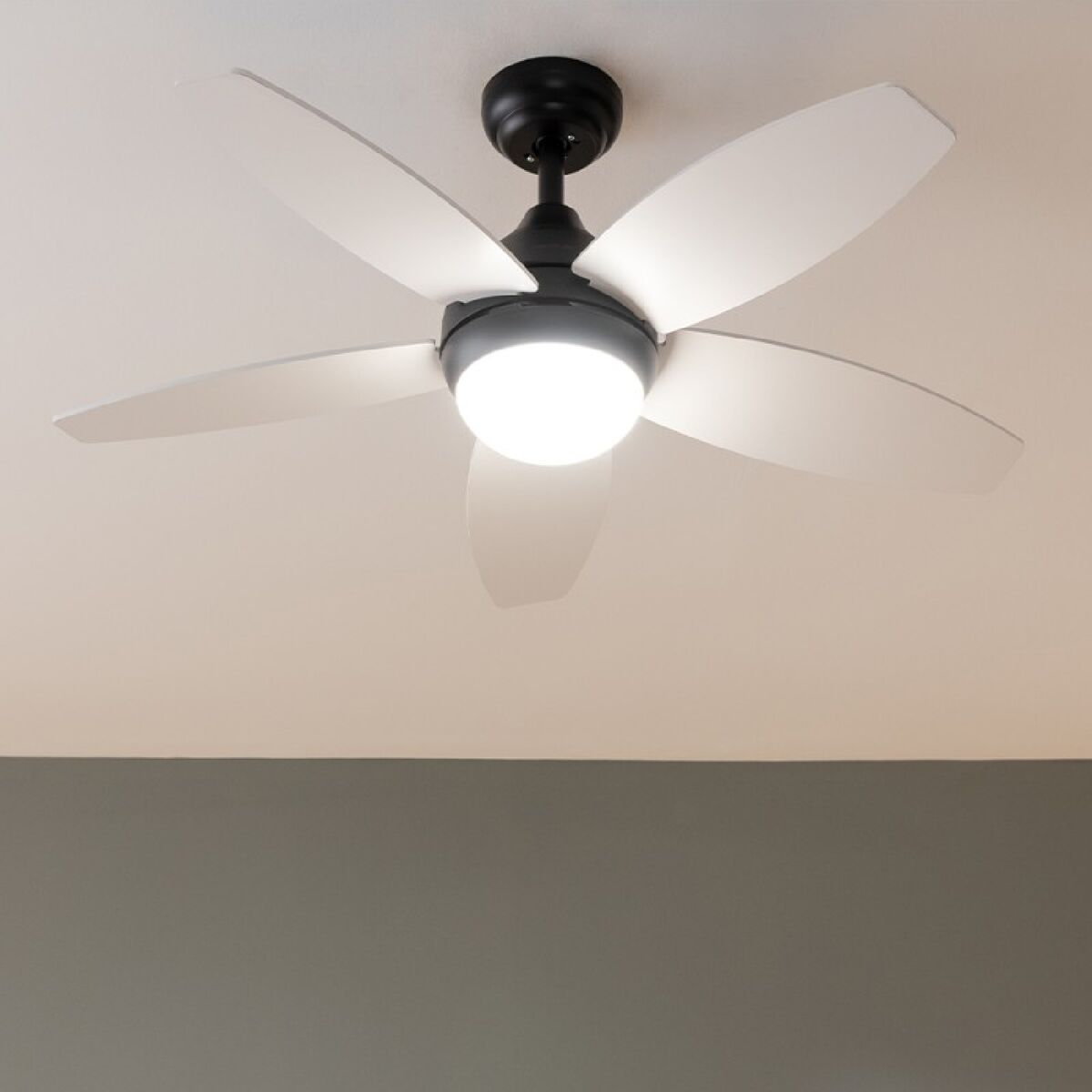 Takfläkt med belysning Cecotec EnergySilence Aero 4200 15 W 53 W Svart Trä 4200 Lm (3000-6500 K) finns hos Aktivcamping