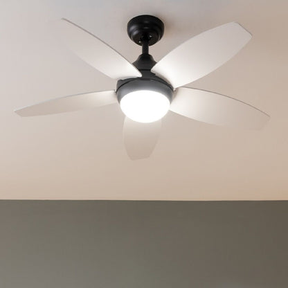 Takfläkt med belysning Cecotec EnergySilence Aero 4200 15 W 53 W Svart Trä 4200 Lm (3000-6500 K) finns hos Aktivcamping