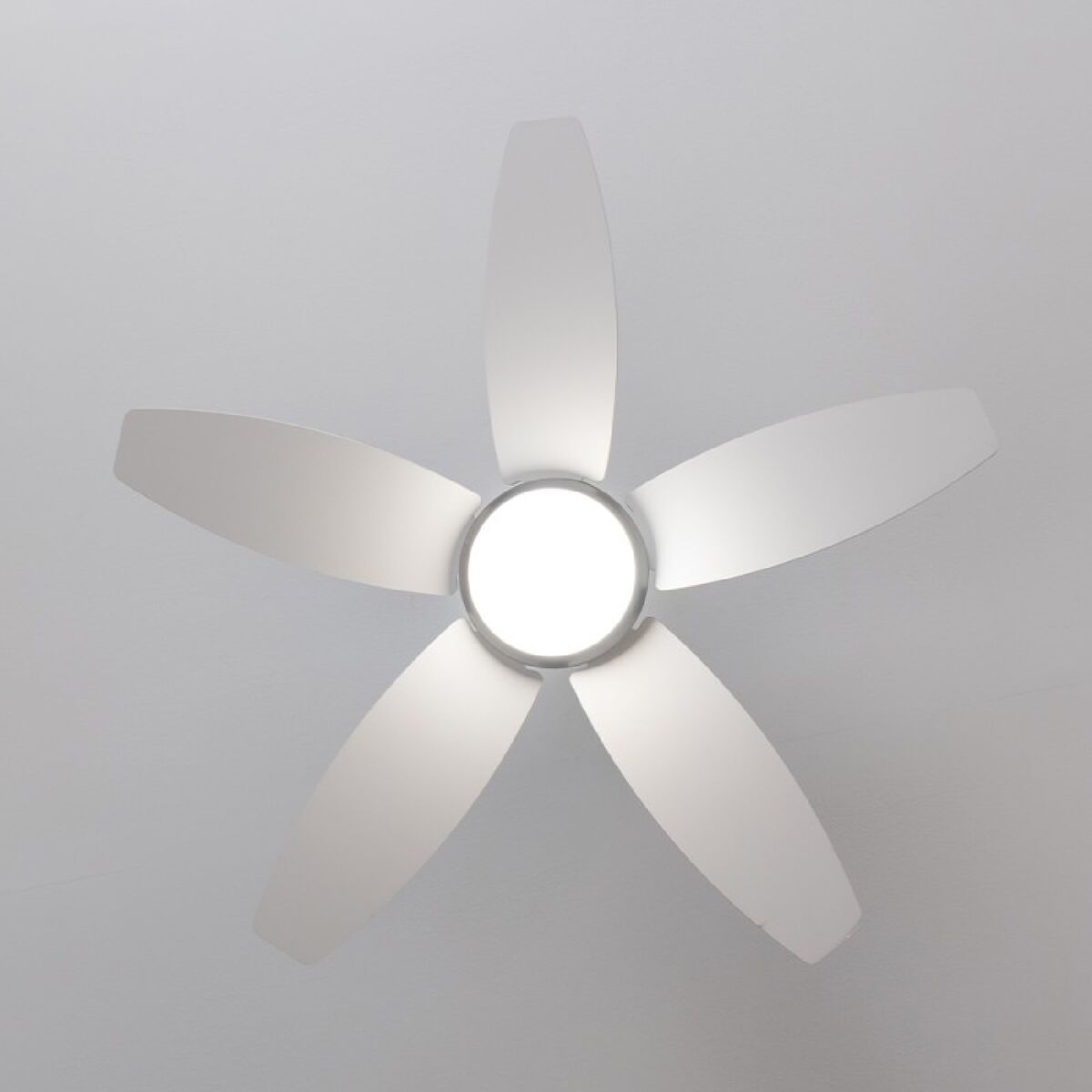 Takfläkt med belysning Cecotec EnergySilence Aero 4200 15 W 53 W Svart Trä 4200 Lm (3000-6500 K) finns hos Aktivcamping