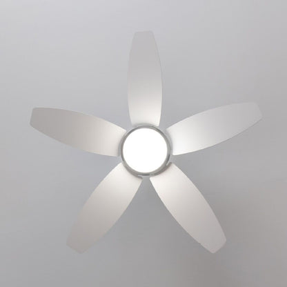 Takfläkt med belysning Cecotec EnergySilence Aero 4200 15 W 53 W Svart Trä 4200 Lm (3000-6500 K) finns hos Aktivcamping