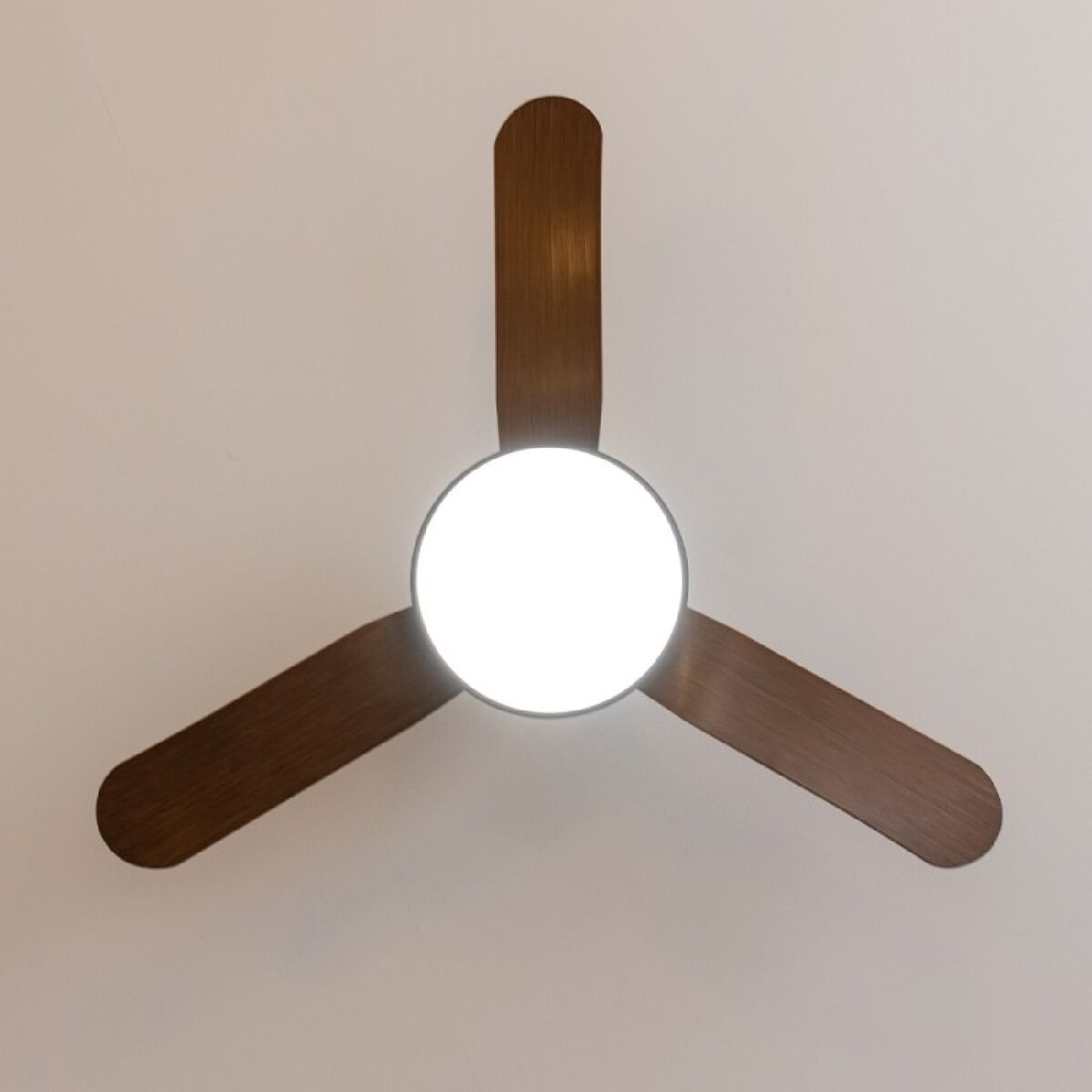Takfläkt med belysning Cecotec EnergySilence Aero 5200 22 W 40 W Trä finns hos Aktivcamping