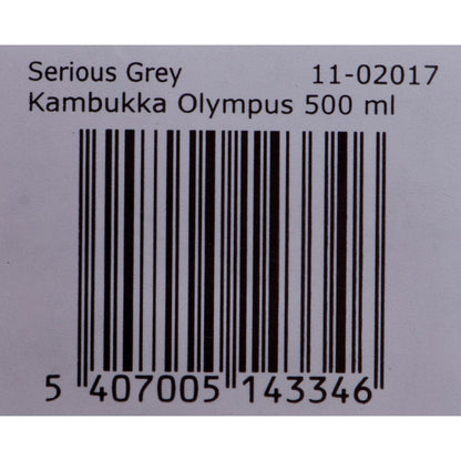 Termos Kambukka Olympus Rostfritt stål 500 ml - finns hos Aktivcamping
