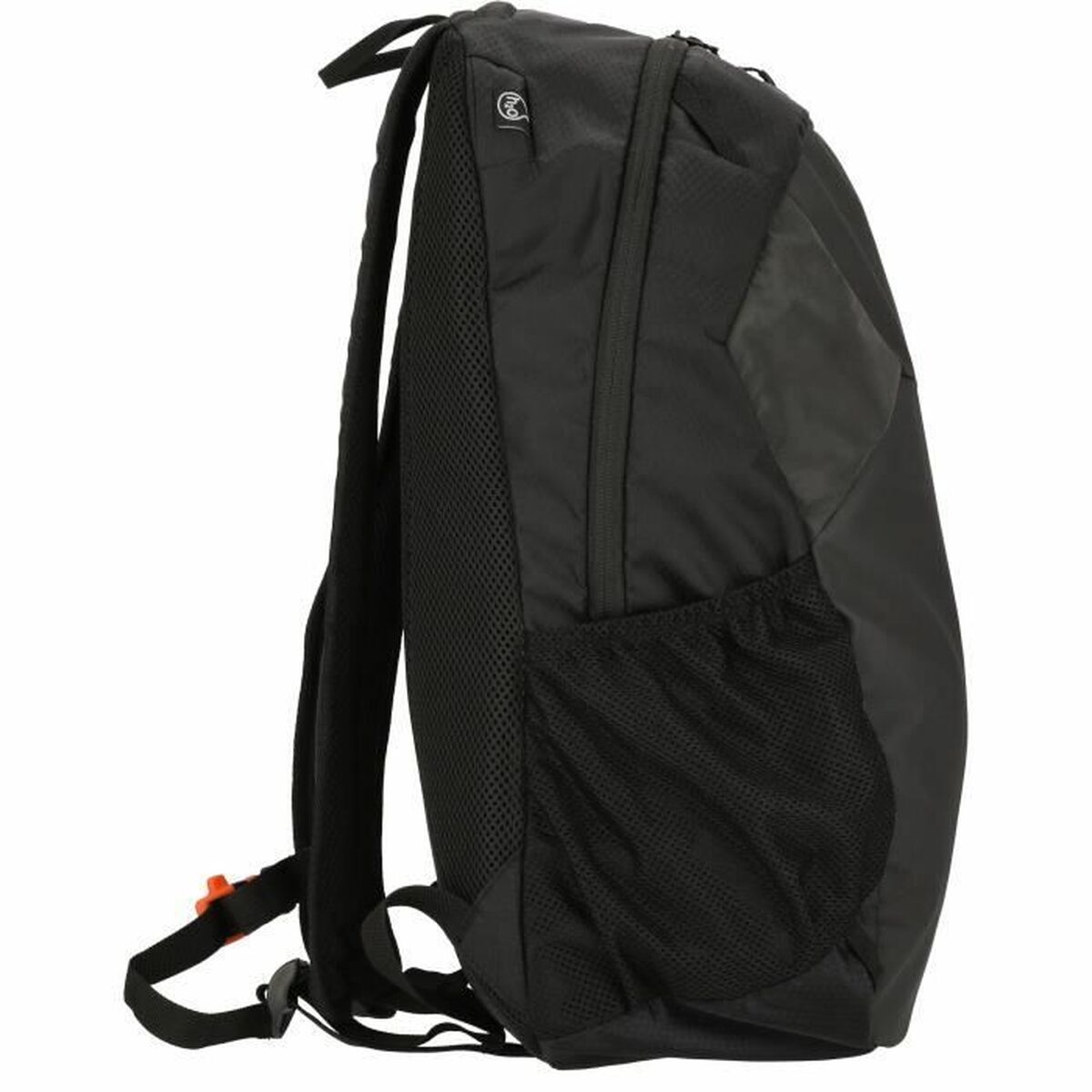 Vandringsryggsäck Whistler Froswick Svart 20 L 50 x 25 x 14,5 cm finns hos Aktivcamping
