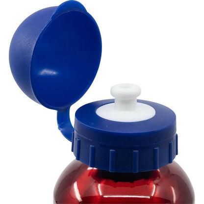 Vattenflaska The Avengers CZ11259 Röd 530 ml Aluminium finns hos Aktivcamping