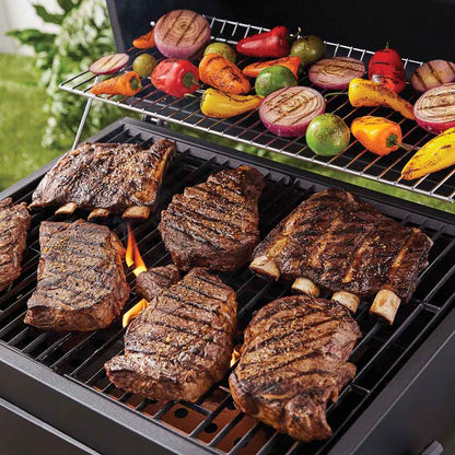 Multifunktionell grill-4