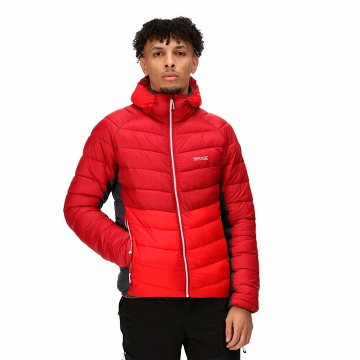 Men's Training Jacket Regatta Harrock Red