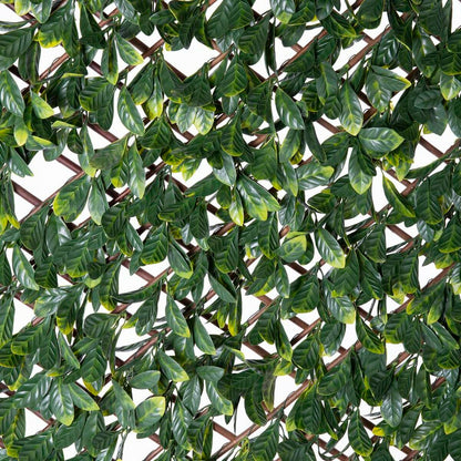 Screen wall Natural Laurel willow Bamboo 2 x 200 x 100 cm