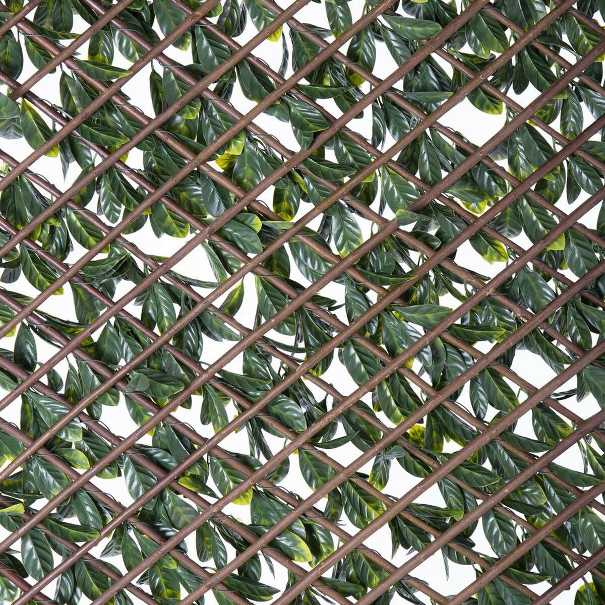 Screen wall Natural Laurel willow Bamboo 2 x 200 x 100 cm