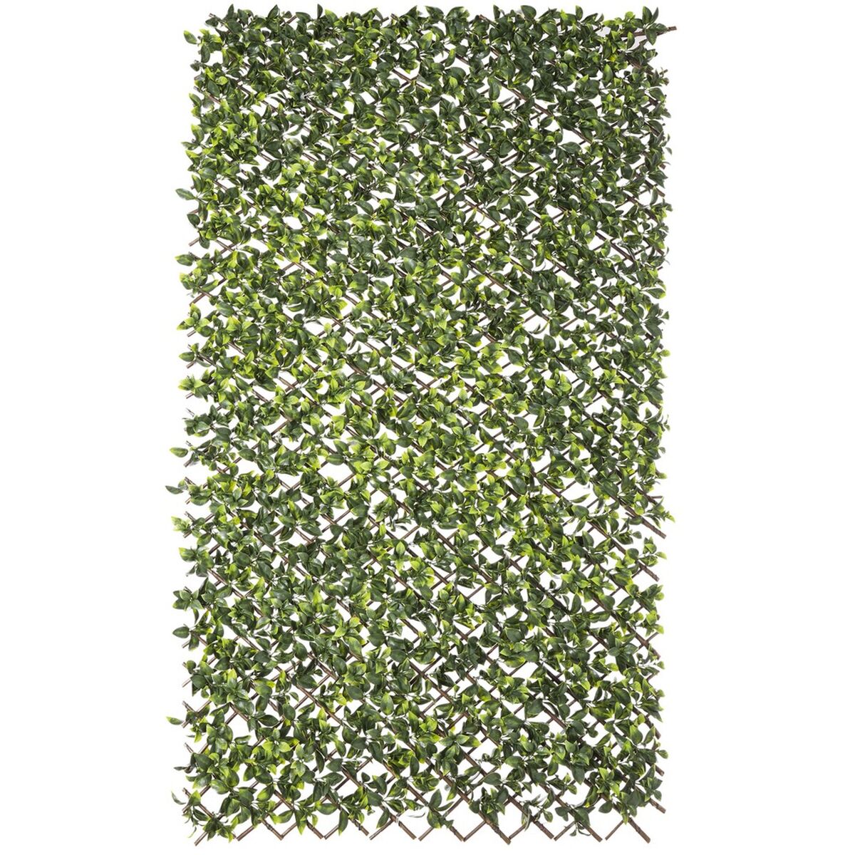 Screen wall Natural Ivy Willow Bamboo 2 x 200 x 100 cm