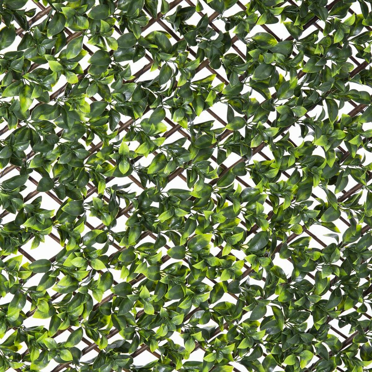 Screen wall Natural Ivy Willow Bamboo 2 x 200 x 100 cm