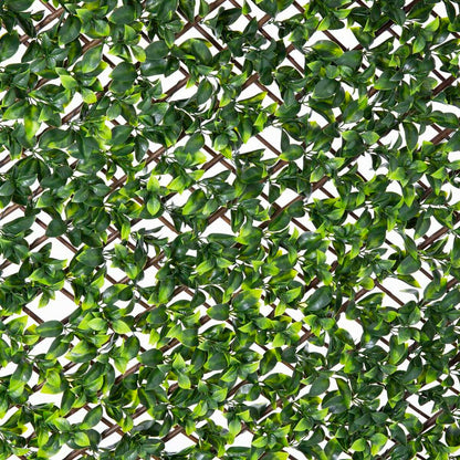 Screen wall Natural Ivy Willow Bamboo 2 x 200 x 100 cm